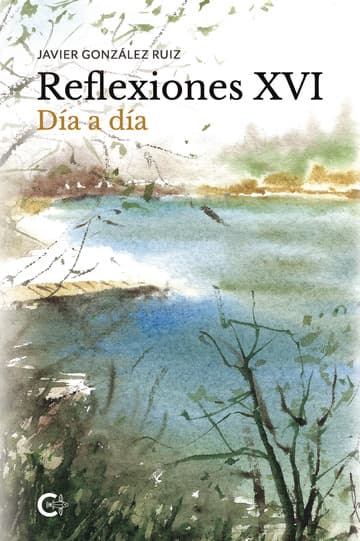 Cubierta de Reflexiones XVI