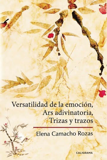 Cubierta de Versatilidad de la emoción, Ars adivinatoria, Trizas y trazos
