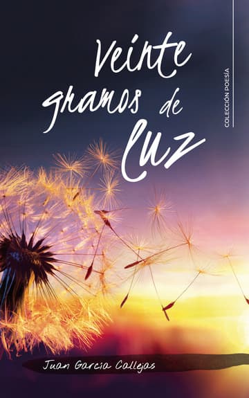Cubierta de Veinte gramos de luz
