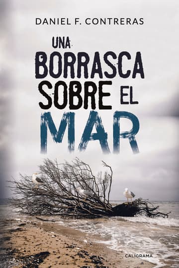 Cubierta de Una borrasca sobre el mar