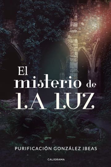 Cubierta de El misterio de La Luz