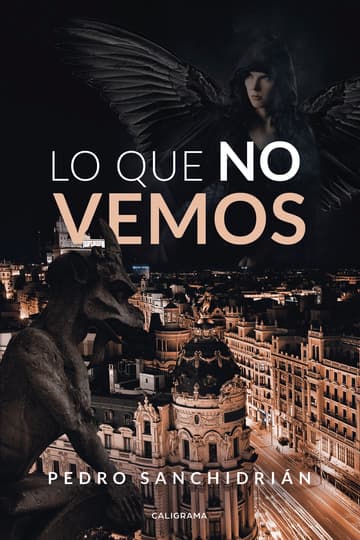 Cubierta de Lo que no vemos