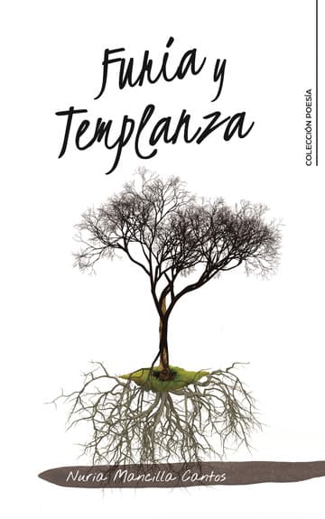 Cubierta de Furia y Templanza