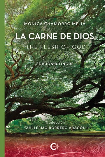 Cubierta de La carne de Dios