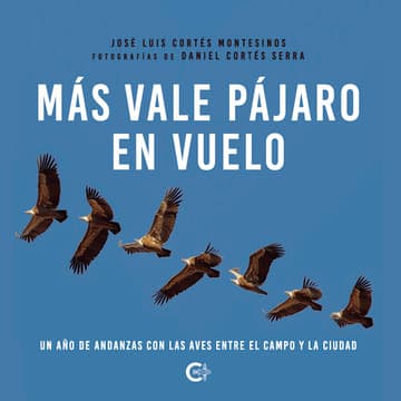 Cubierta de Más vale pájaro en vuelo