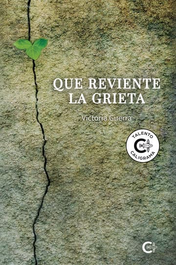 Cubierta de Que reviente la grieta