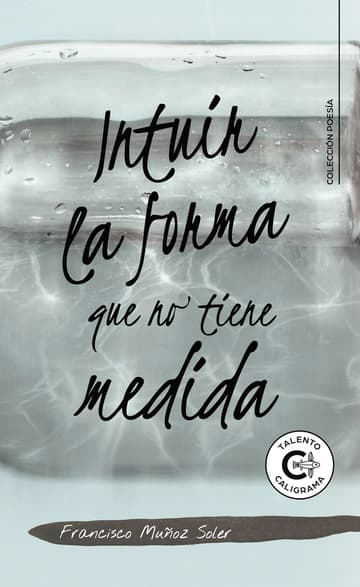 Cubierta de Intuir la forma que no tiene medida