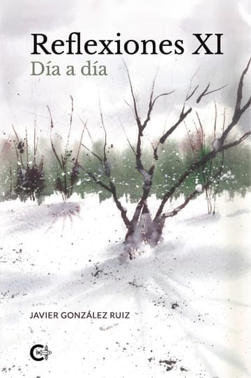 Cubierta de Reflexiones XI
